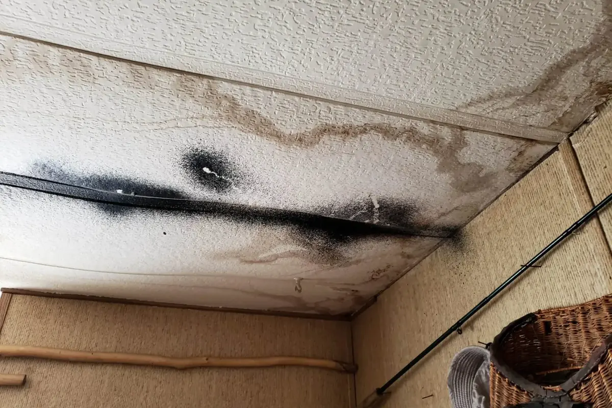 Dealing with the insurance adjuster after water damage